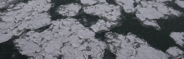 seaice