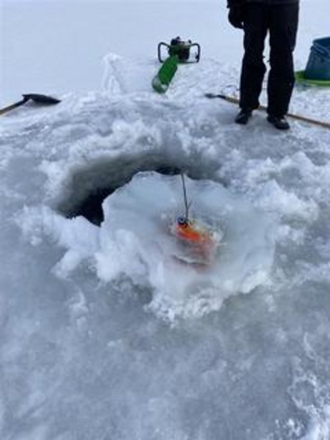 winter sampling
